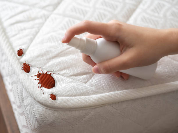 Best Indoor Pest Control  in Gouldtown, NJ